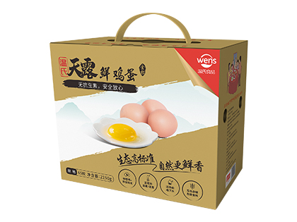 ��¶�ʼ���